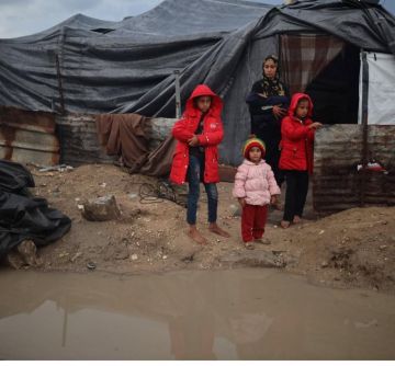 بلدية غزة: المياه العادمة والنفايات تجتاح المنازل ومراكز الإيواء بلدية غزة: المياه العادمة والنفايات تجتاح المنازل ومراكز الإيواء