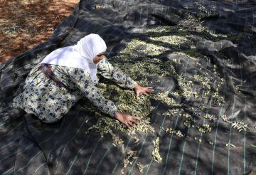 الجيش الإسرائيلي يوقف نشطاء يساريين متضامنين مع الفلسطينيين في بورين الجيش الإسرائيلي يوقف نشطاء يساريين متضامنين مع الفلسطينيين في بورين