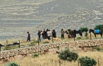 10 إصابات إحداها بالرصاص في هجوم للمستوطنين على خلايل اللوز شرق بيت لحم