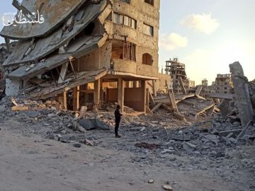 بالصور مخيم الشاطئ.. بين الركام والحياة وصمود لا يقهر في وجه التهجير