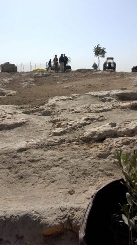 اعتقال مواطن- مستوطنون يهاجمون رعاة أغنام في مسافر يطا