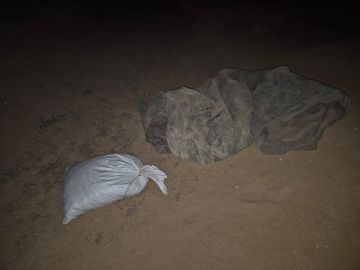 الجيش الإسرائيلي: إحباط محاولة تهريب وسائل قتالية على الحدود الغربية (صورة)