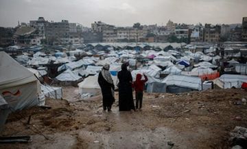 رفح الخضراء وغزة جديدة - ماذا ينتظر قطاع غزة؟