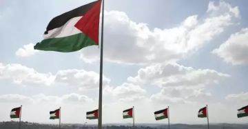 لأول مرة .. رفع علم دولة فلسطين بين أعلام الأعضاء في الاتحاد البريدي العالمي