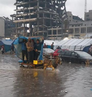 شهيد وعدة إصابات جراء انهيار منزل متضرر من القصف بسبب المنخفض الجوي في غزة شهيد وعدة إصابات جراء انهيار منزل متضرر من القصف بسبب المنخفض الجوي في غزة