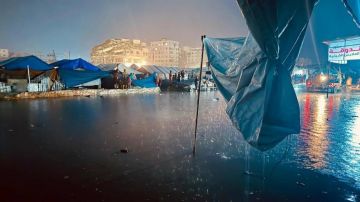 رئيس بلديات غزة: المنخفض الجديد قد يكون أشد قسوة ويهدد بكارثة رئيس بلديات غزة: المنخفض الجديد قد يكون أشد قسوة ويهدد بكارثة