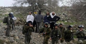 مستوطنون يعتدون على أراضي المواطنين في قرية مخماس مستوطنون يعتدون على أراضي المواطنين في قرية مخماس