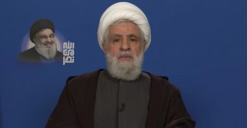 الشيخ قاسم: مشاركة برئيس مدني في لجنة وقف اطلاق النار سقطة