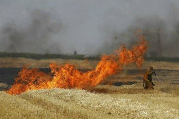 فيديو في ثاني أيام العيد.. بالونات غزة الحارقة تشعل مستوطنات الغلاف