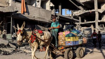 تقرير حصاد الزراعة في غزة 2025.. قطاع أبيد وفجوة غذائية تعمق خطر المجاعة