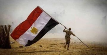 كيف ستتعامل مصر مع انفلات إسرائيل وتوحشها؟ كيف ستتعامل مصر مع انفلات إسرائيل وتوحشها؟