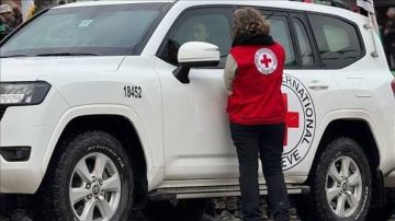 الصليب الأحمر: آلاف سكان غزة يجهلون مصير ذويهم وأماكن وجودهم