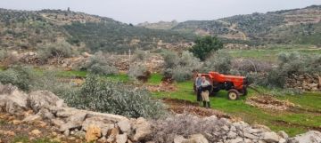 اعتداء يعد من أوسع الهجمات التي تطال القطاع الزراعي...الاحتلال يقتلع 8 آلاف شجرة زيتون ويدمر أكثر من 30 بئرا زراعيا في سيلة الحارثية غرب جنين