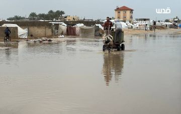 المنخفض الجوي يكشف عمق الكارثة في غزة وخسائر أولية بـ 4 ملايين دولار المنخفض الجوي يكشف عمق الكارثة في غزة وخسائر أولية بـ 4 ملايين دولار