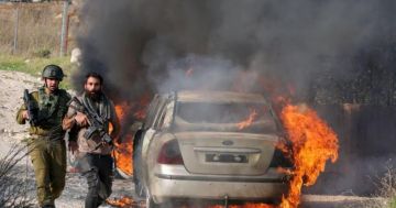 مقاومة الجدار والاستيطان: 2144 اعتداء نفذها الاحتلال ومستوطنوه خلال الشهر الماضي