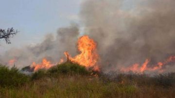 غلاف غزة يشتعل مجددا بفعل البالونات الحارقة.. والحرائق تصل الخليل