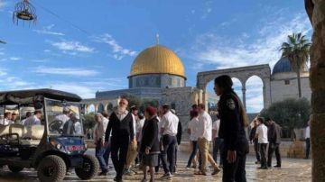 مستوطنون يقتحمون باحات المسجد الأقصى