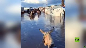 قطاع غزة.. مشاهد للأوضاع الكارثية التي يعاني منها النازحون في المخيمات قطاع غزة.. مشاهد للأوضاع الكارثية التي يعاني منها النازحون في المخيمات