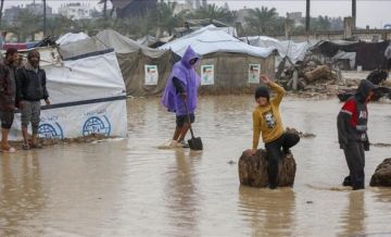 محدث: المنخفض الجوي: 14 وفاة وانهيارات واسعة خلال أقل من 24 ساعة في غزة محدث: المنخفض الجوي: 14 وفاة وانهيارات واسعة خلال أقل من 24 ساعة في غزة