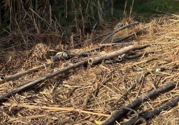 مستعمرون يقطعون خطوط ناقلة للمياه في الأغوار الشمالية