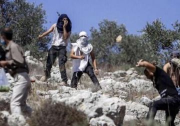 مستعمرون يهاجمون تجمعا بدويا في مخماس شمال القدس ويعتدون على المواطنين والممتلكات 