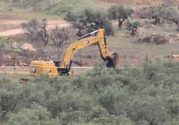 الاحتلال يقتلع نحو 400 شجرة زيتون ويجرف 35 دونما من أراضي بدرس غرب رام الله