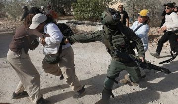 مستوطنون يرعون مواشيهم في بلدة مخماس شمال القدس مستوطنون يرعون مواشيهم في بلدة مخماس شمال القدس