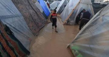 حماس: الاحتلال يتحمل مسؤولية تفاقم معاناة النازحين في فصل الشتاء حماس: الاحتلال يتحمل مسؤولية تفاقم معاناة النازحين في فصل الشتاء