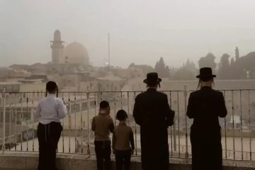 ليس مجرد قربان يريدون ذبحه في المسجد الأقصى