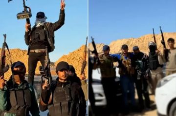 حين ينهار الظل.. تسليم عناصر أبو شباب يعري شبكة العمالة حين ينهار الظل.. تسليم عناصر أبو شباب يعري شبكة العمالة