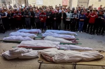 الصحة بغزة: 379 شهيدا منذ إعلان وقف إطلاق النار الصحة بغزة: 379 شهيدا منذ إعلان وقف إطلاق النار