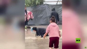 مشاهد لمعاناة الفلسطينيين في قطاع غزة المنكوب مشاهد لمعاناة الفلسطينيين في قطاع غزة المنكوب