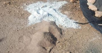 مستوطنون يعتدون على تجمع شكارة جنوب نابلس