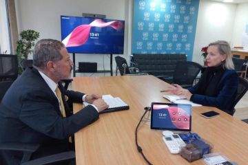 الممثل الخاص للرئيس يلتقي مديرة الأونروا في لبنان