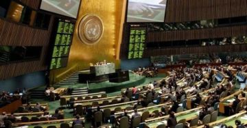 الأمم المتحدة تعتمد قرارا يلزم إسرائيل بتسهيل إدخال المساعدات إلى غزة الأمم المتحدة تعتمد قرارا يلزم إسرائيل بتسهيل إدخال المساعدات إلى غزة