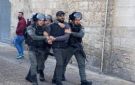 القدس المحتلة: اعتقالات ومحاولة اختطاف طفل في العيسوية