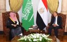 مصر والسعودية تؤكدان أهمية نشر قوة الاستقرار الدولية في غزة