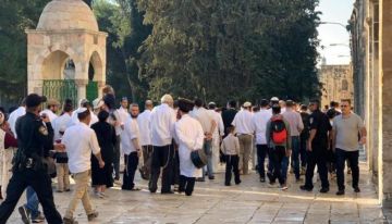 محافظة القدس: 5 شهداء و(239) حالة اعتقال خلال الربع الأول من العام الجاري محافظة القدس: 5 شهداء و(239) حالة اعتقال خلال الربع الأول من العام الجاري