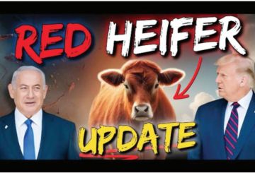 جماعات الهيكل تنشر صورة متخيلة لإقامة المذبح مكان قبة السلسلة بالأقصى