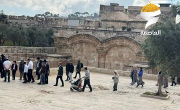 مئات المستوطنين يستبيحون الأقصى في ثالث أيام عيد الفصح اليهودي