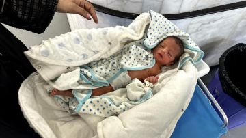 يونيسف: نجاة حديثي الولادة بغزة يعتمد على وقف إطلاق النار