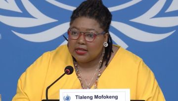 مقررة أممية تدين عدوان الاحتلال على المستشفى المعمداني في غزة