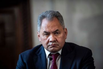 شويغو: إقامة دولة فلسطينية هو السبيل الوحيد لإحلال سلام دائم في الشرق الأوسط شويغو: إقامة دولة فلسطينية هو السبيل الوحيد لإحلال سلام دائم في الشرق الأوسط