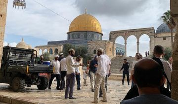 عشرات المستوطنين يقتحمون المسجد الأقصى تحت حماية الجيش عشرات المستوطنين يقتحمون المسجد الأقصى تحت حماية الجيش