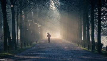 هل التمارين الصباحية مفيدة لخسارة الوزن؟ هل التمارين الصباحية مفيدة لخسارة الوزن؟