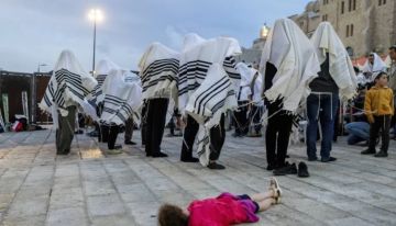 محافظة القدس: ما يجري تصعيد خطير ومحاولة لفرض واقع تهويدي جديد محافظة القدس: ما يجري تصعيد خطير ومحاولة لفرض واقع تهويدي جديد