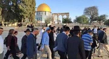 الأردن يدين اقتحامات المتطرفين للمسجد الأقصى