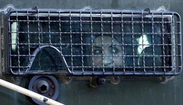 هيئة: المعتقلة سعيدي محتجزة بظروف سيئة وتتعرض لتفتيشات عارية متكررة هيئة: المعتقلة سعيدي محتجزة بظروف سيئة وتتعرض لتفتيشات عارية متكررة