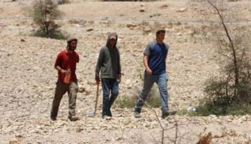 مستوطنون يتسببون بعزل 20 عائلة عن تجمع شلال العوجا شمال أريحا