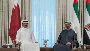 رئيس الإمارات وأمير قطر يبحثان تعزيز التعاون وقضايا المنطقة